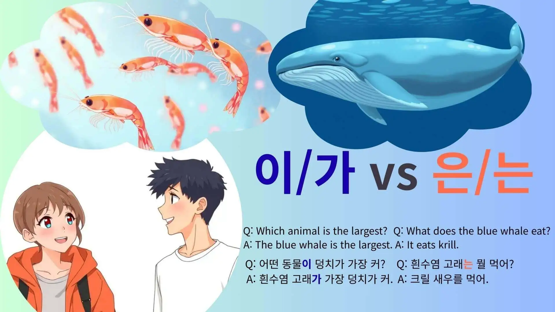 Understanding 이, 가 vs 은, 는