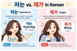 Korean particles 저는 (jeoneun) and 제가 (jega) explained with examples